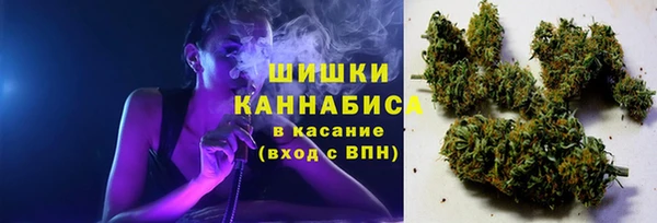 трава Аркадак