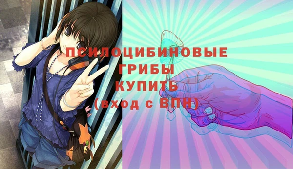 трава Аркадак