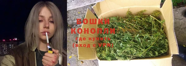 трава Аркадак