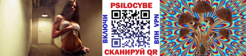 цена наркотик  Холм  Галлюциногенные грибы Psilocybine cubensis 